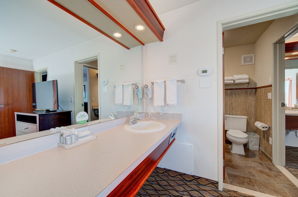 Holiday Inn West Yellowstone by IHG. - photo 92