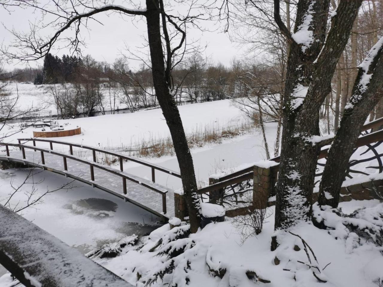 Ąžuolas — Unknown City — photo 4
