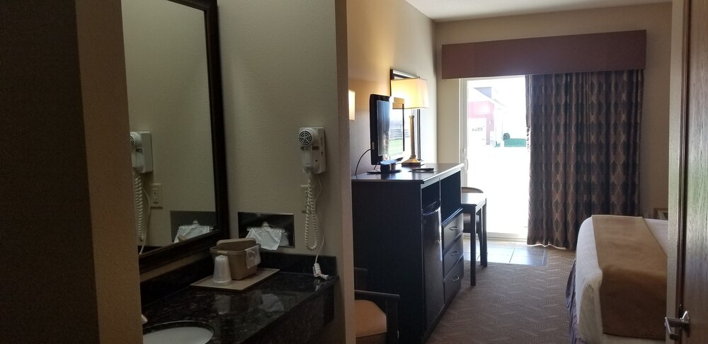 Cobblestone Inn and Suites Lake View - photo 7