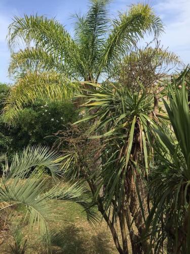 Mare E Monte Jardin Mediterraneen Et Exotique. — hotel in Ghisonaccia
