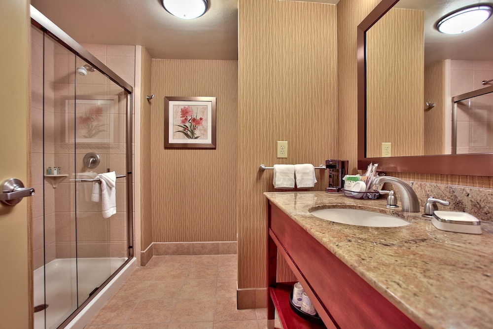 Hampton Inn & Suites Scottsdale at Talking Stick - photo 17