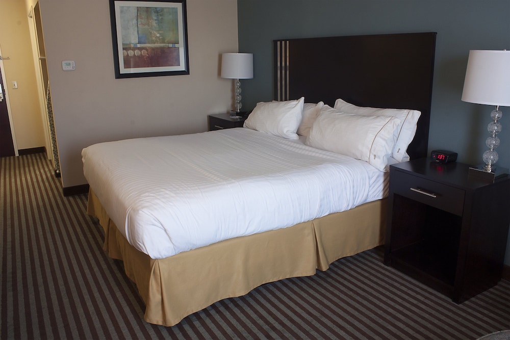 Holiday Inn Express & Suites Youngstown West Austintown by IHG - photo 6