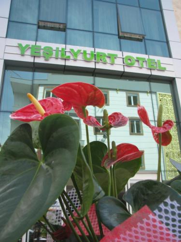 Yesilyurt Otel - last minute hotel in Antalya
