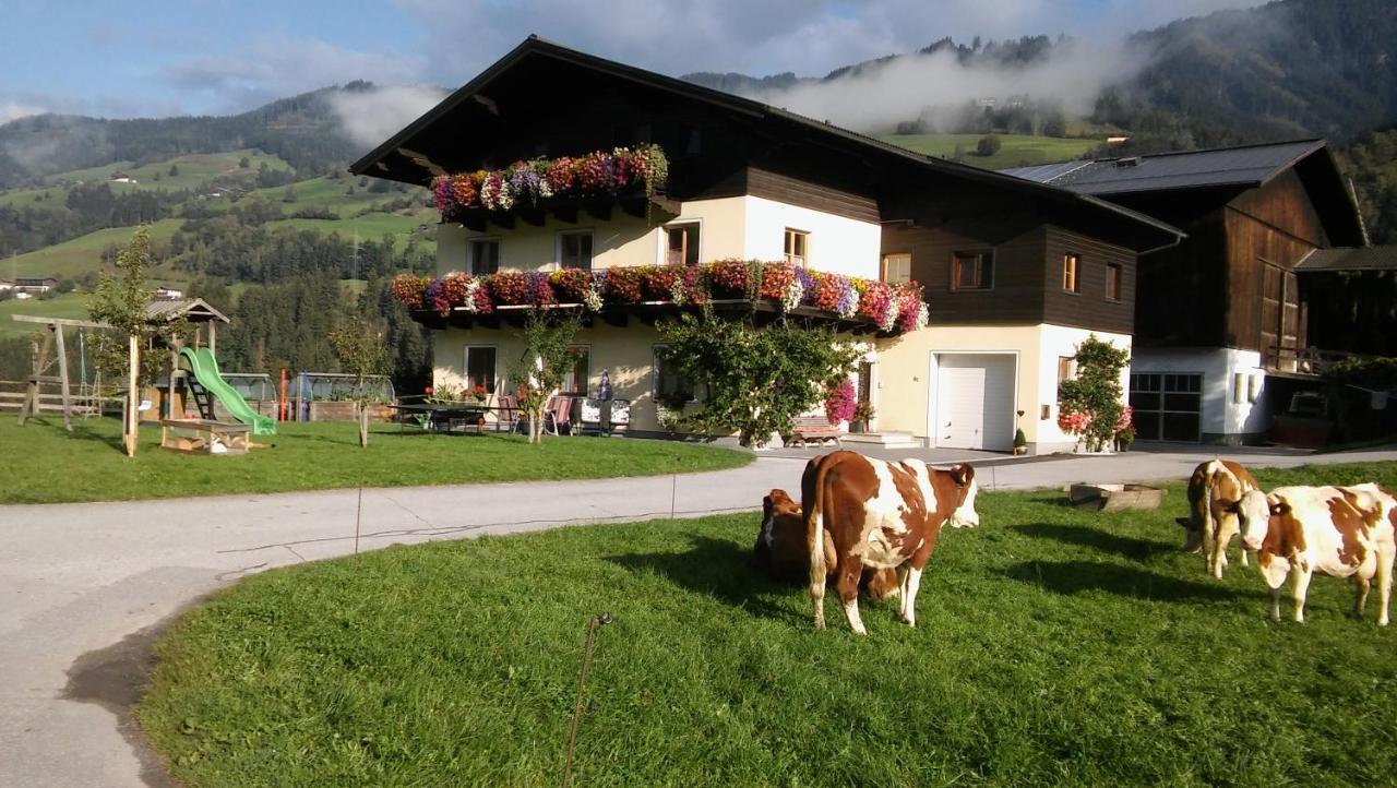 Rieserhof Fam. Meißnitzer — hotel in Taxenbach