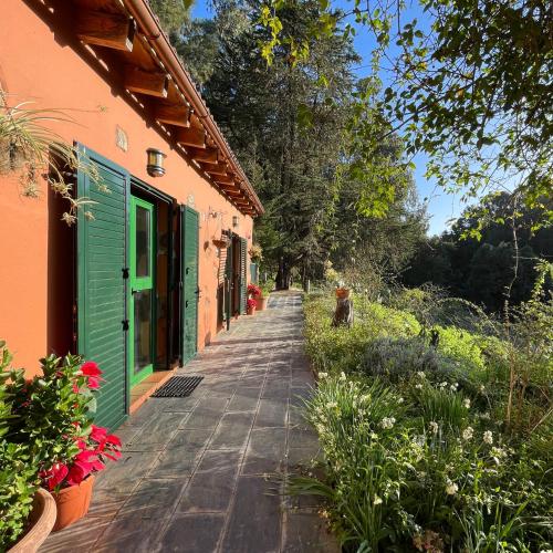 Finca El Lance Zumacal — Firgas