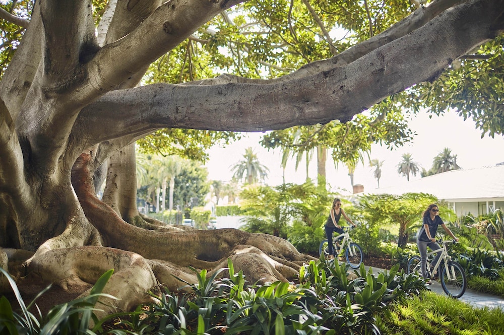 Fairmont Miramar Bungalows - photo 34