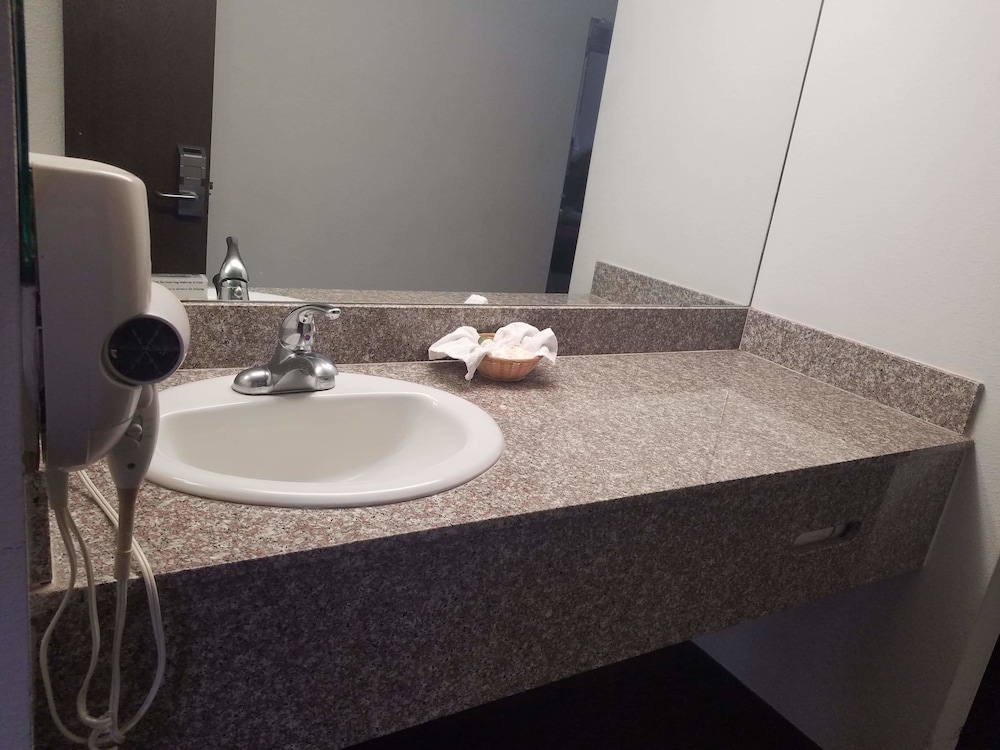 Dodge House Hotel & Convention Center - photo 18