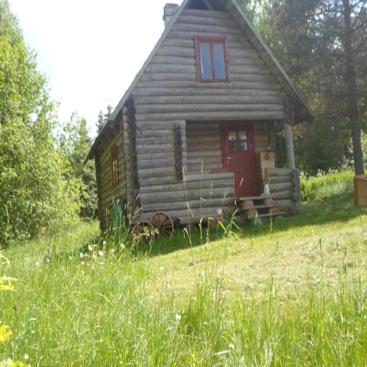 Pahnamae Metsamajake — Rouge — photo 2