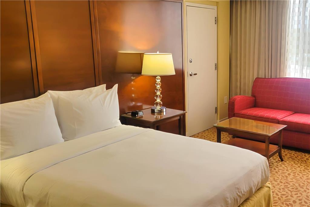 Wyndham Atlanta Buckhead Hotel & Conference Center - photo 33