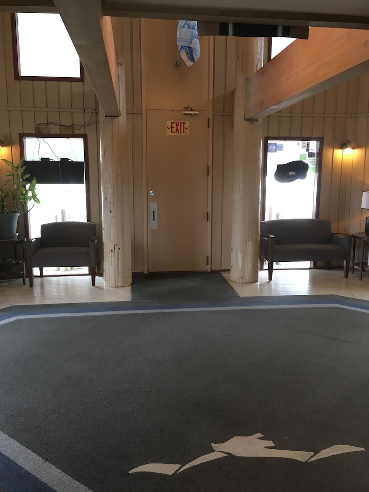 The Grey Gull - photo 3