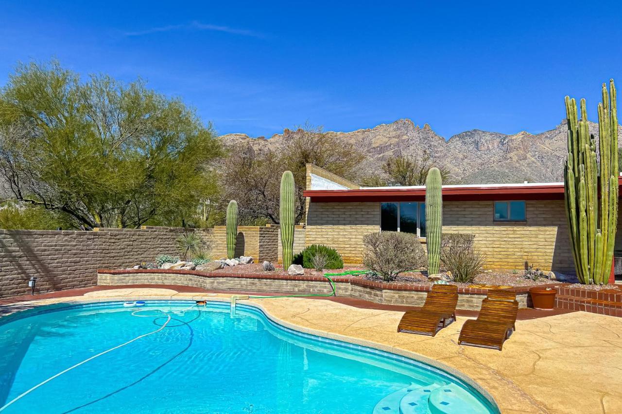 Lizard Rock - last minute hotel in Tucson