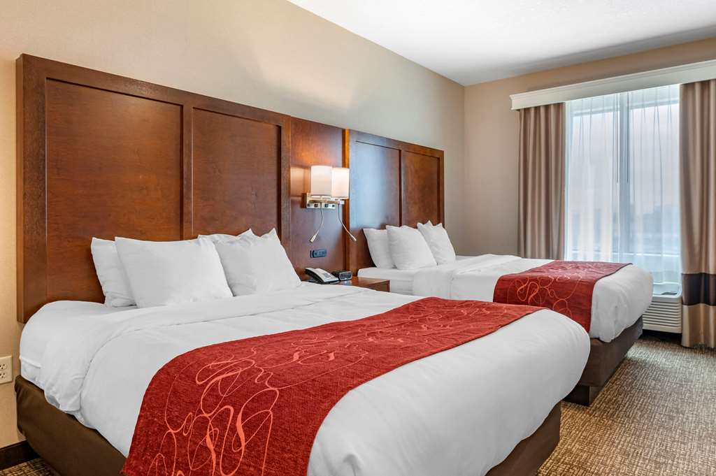 Comfort Suites Columbus Airport - photo 20