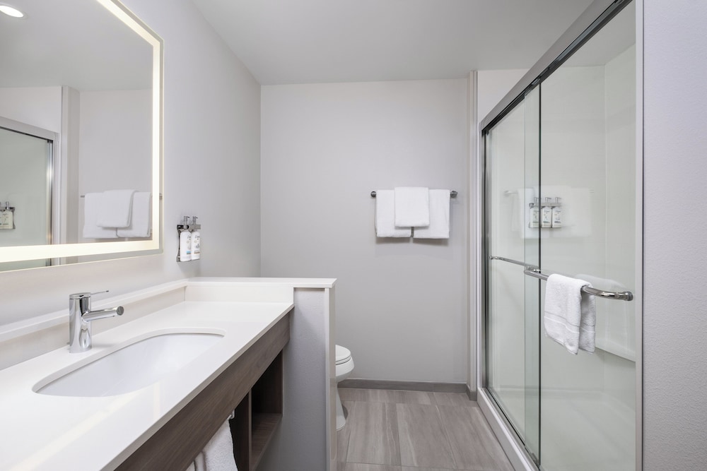 Holiday Inn Express & Suites Buford Mall of Georgia by IHG - photo 14