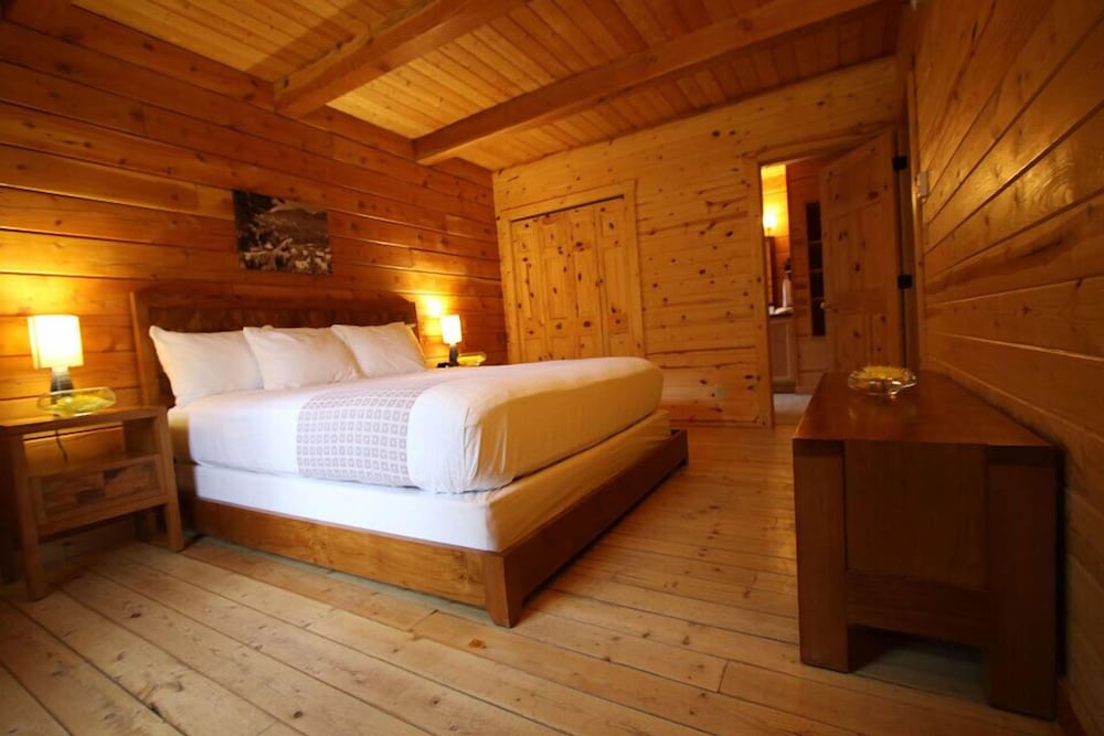Mount Princeton Hot Springs Resort - photo 14