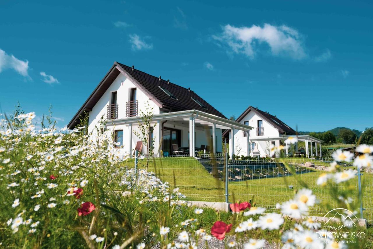 Dzikowiejsko in Bardo, Poland