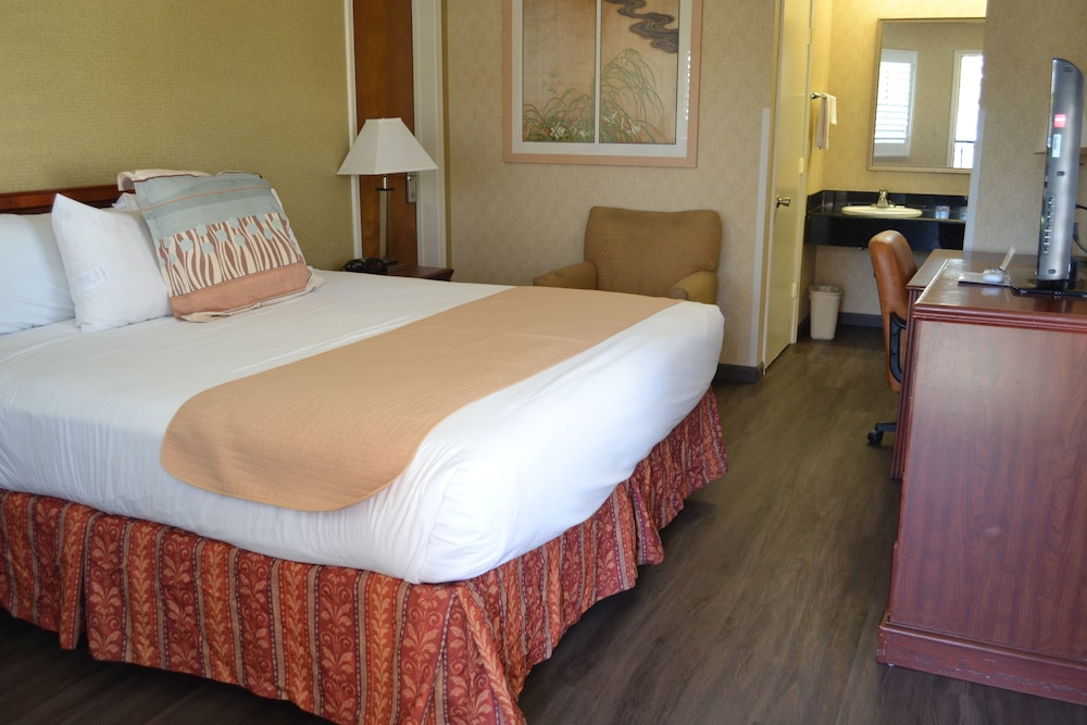 Valley Inn San Jose - photo 5