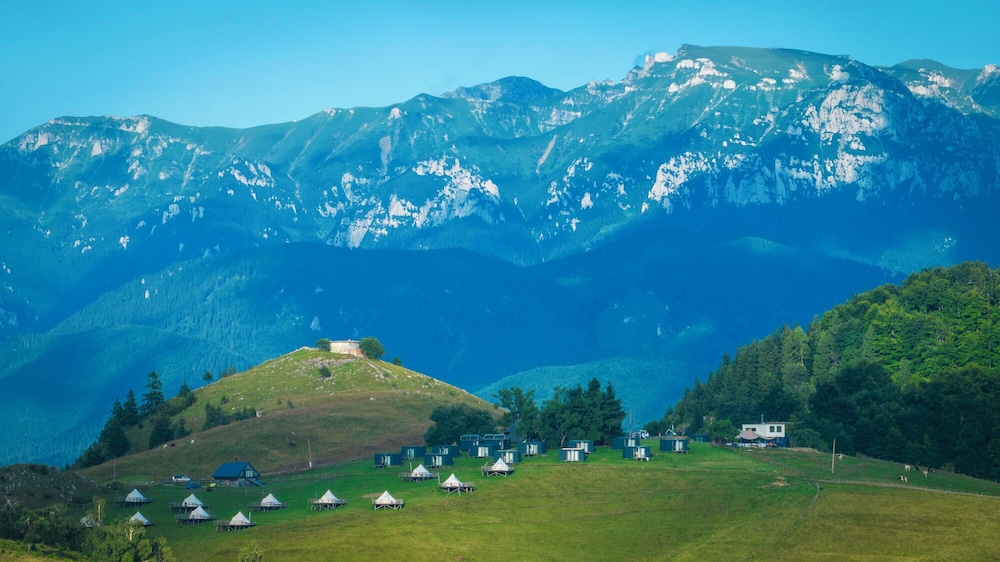 Ursa Mica Glamping Resort in Brasov, Romania