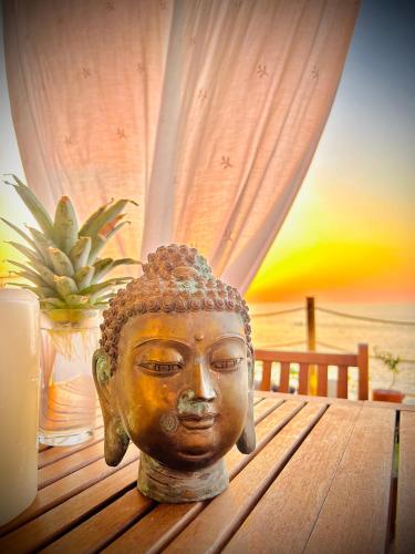Zenforma — 4-Star Luxury Hotel in Puerto Vallarta, Mexico
