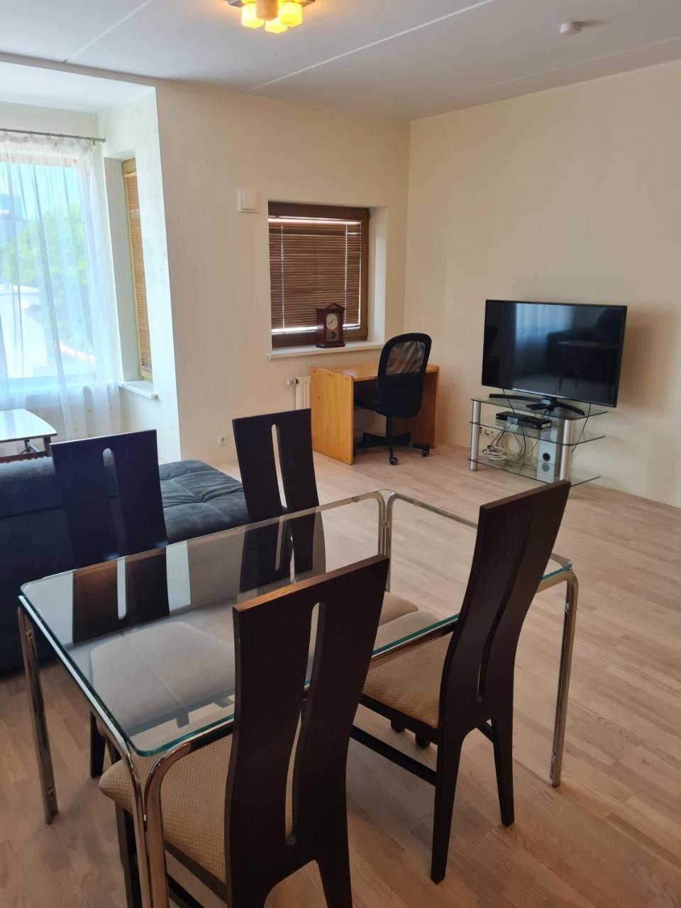 Cozy one bedroom apartment in city center