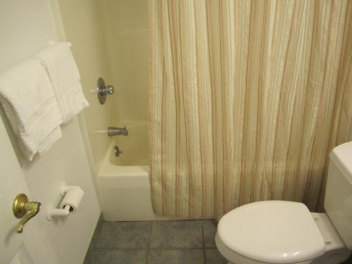 Apollo Resort Motel - photo 3