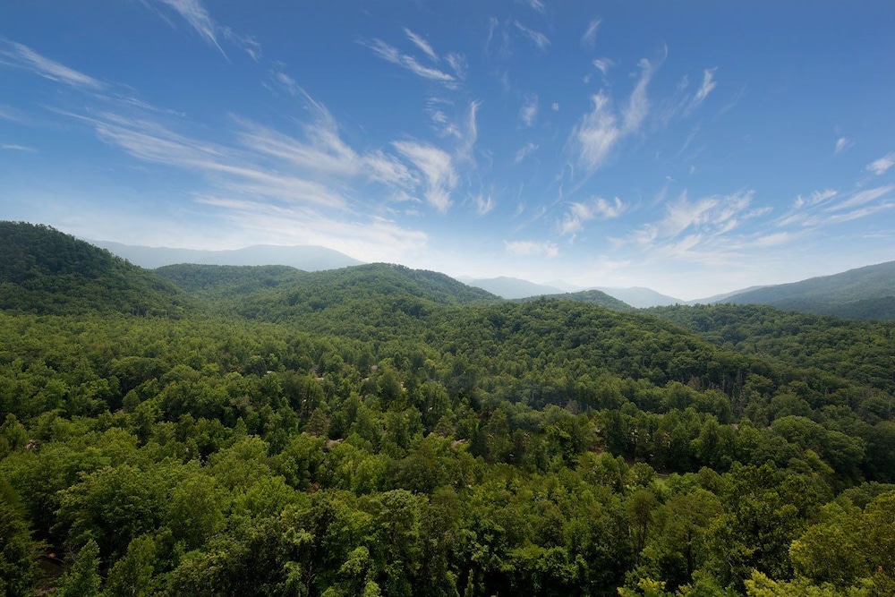 The Park Vista a DoubleTree by Hilton Hotel Gatlinburg - photo 14