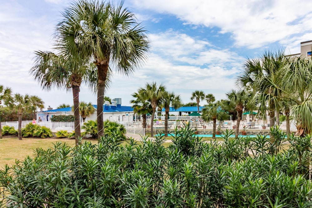 Ocean Song at Beachside Colony - photo 21