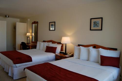 Alcazar Resort Gay Mens Resort - photo 25