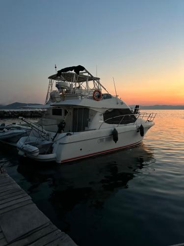 Solmar Yacht - last minute hotel in Unknown City