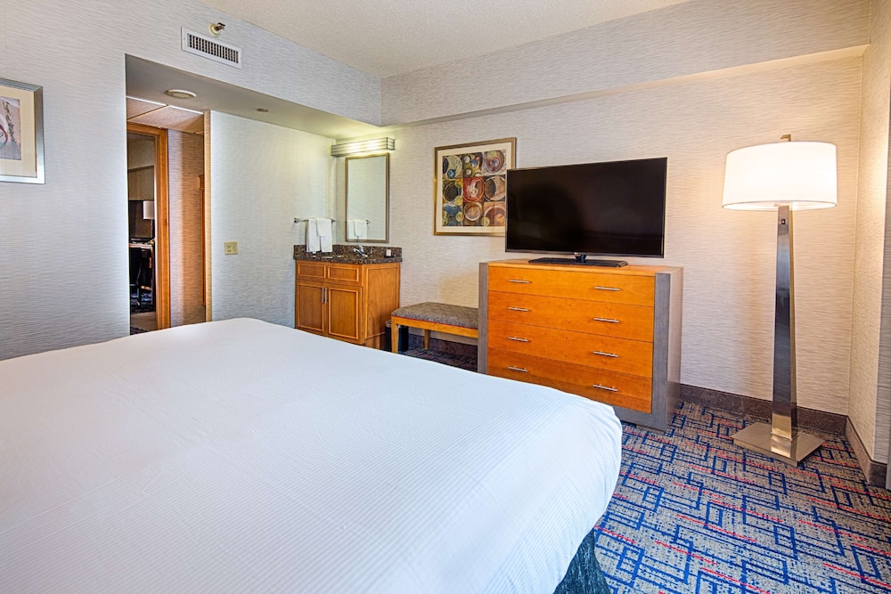 Embassy Suites by Hilton Chicago O'Hare Rosemont - photo 13