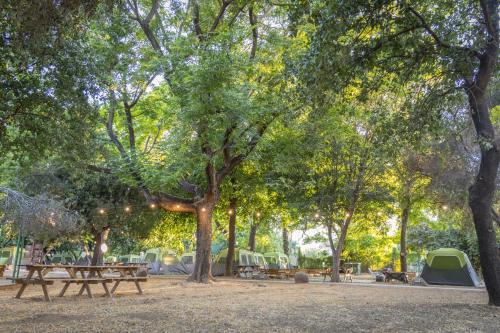 Camping Dafna By Travel Hotel Chain — hotel in Qiryat Shemona