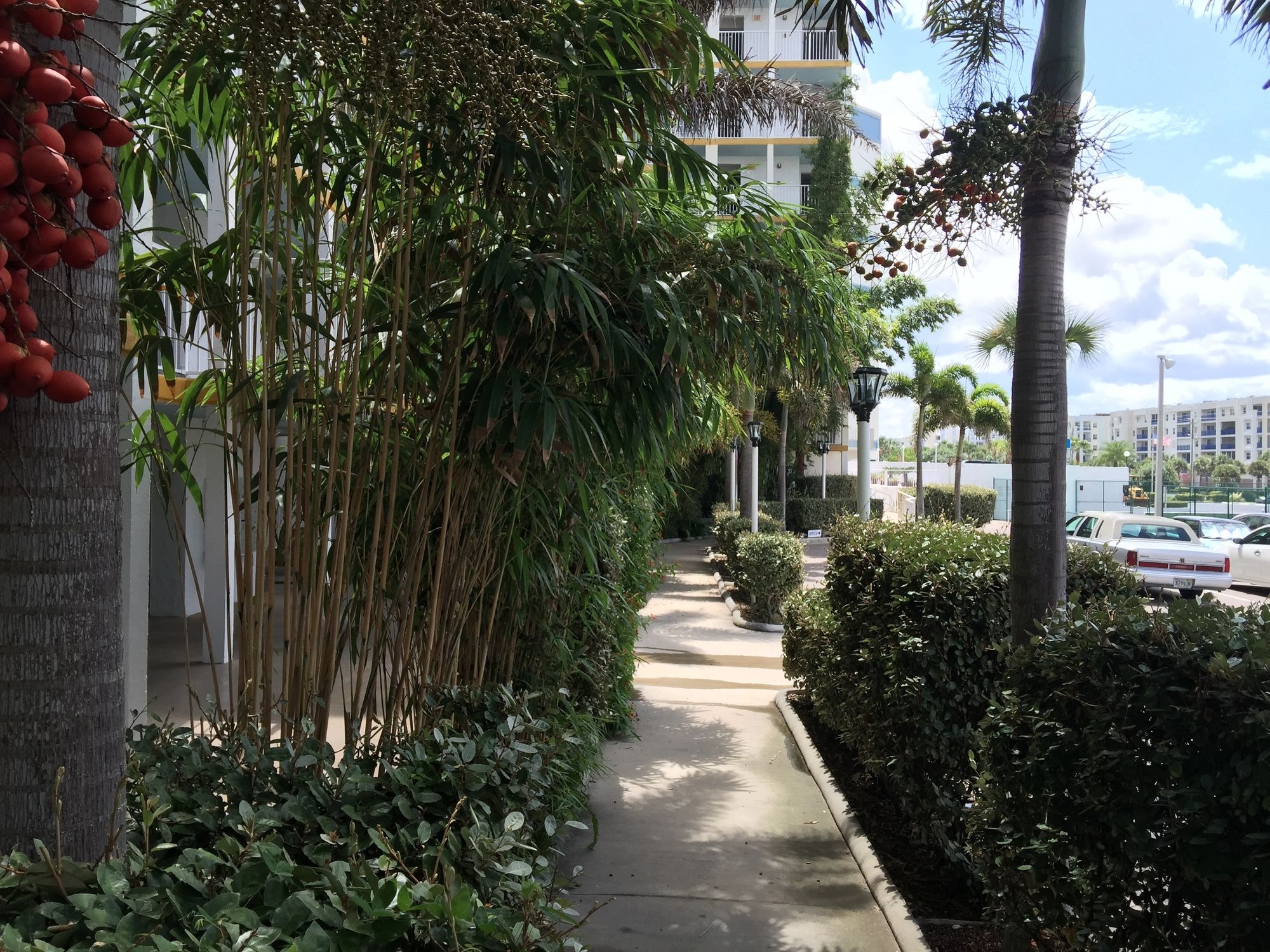 Smyrna Beach Club - photo 28