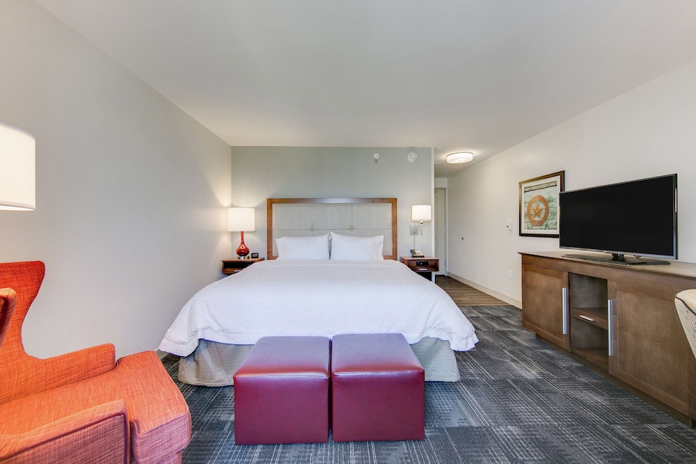 Hampton Inn & Suites North Houston Spring - photo 14