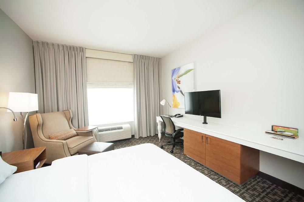 Hilton Garden Inn San Antonio Live Oak Conference Center - photo 12