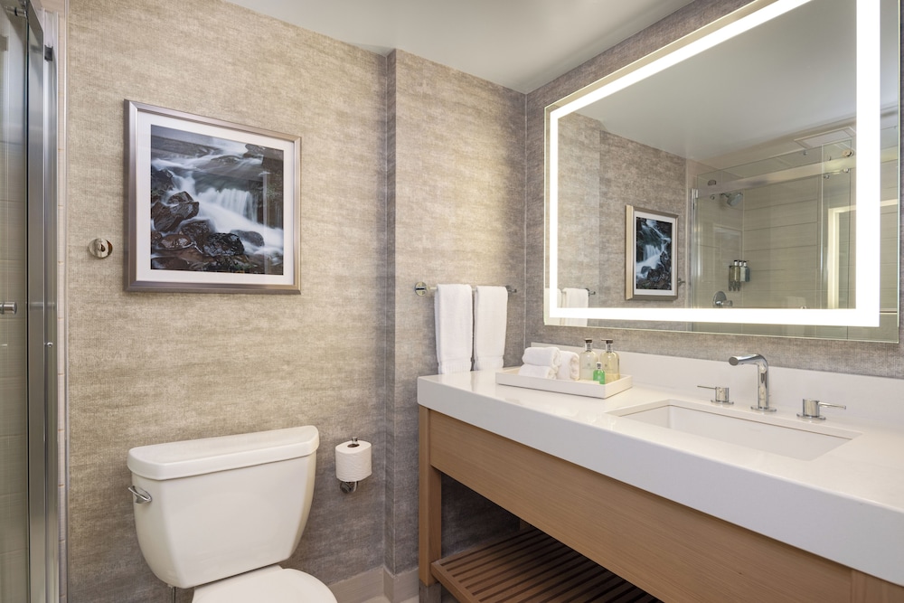 JB Duke Hotel - photo 31