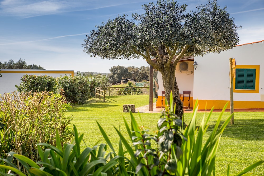 Monte Das Alpenduradas in Zambujeira Do Mar, Portugal