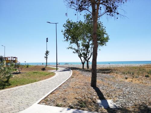 Civico33 — Rocca Imperiale — photo 4