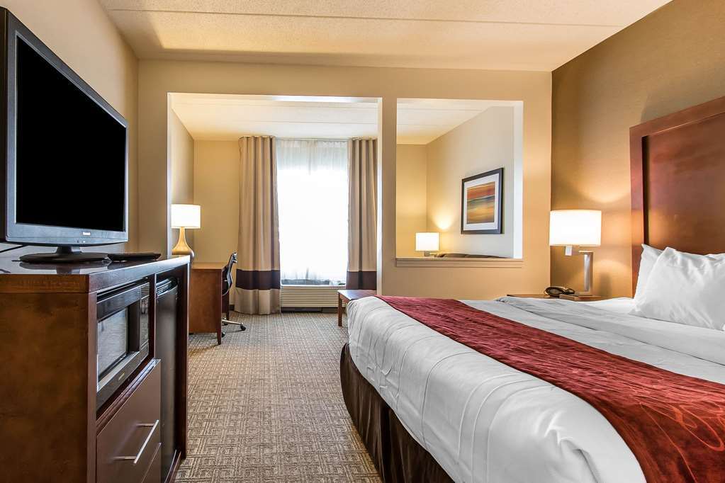 Comfort Suites Richmond - photo 8