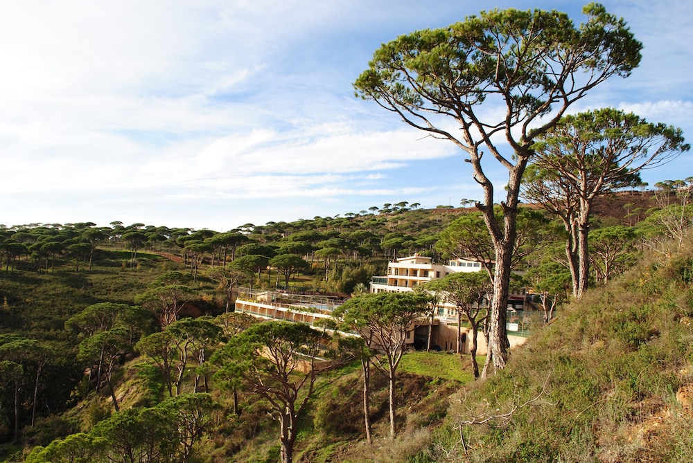 Pineland Hotel and Health Resort in Beirut, Lebanon