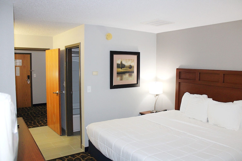 Greenstay Hotel and Suites St James - photo 3