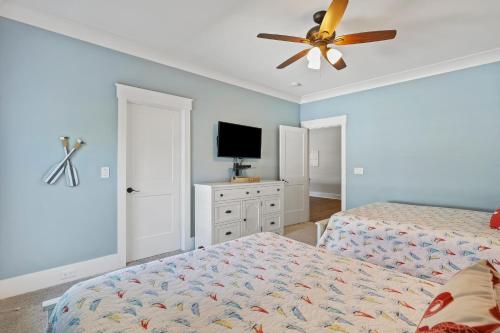 19 Sand Dollar - photo 38