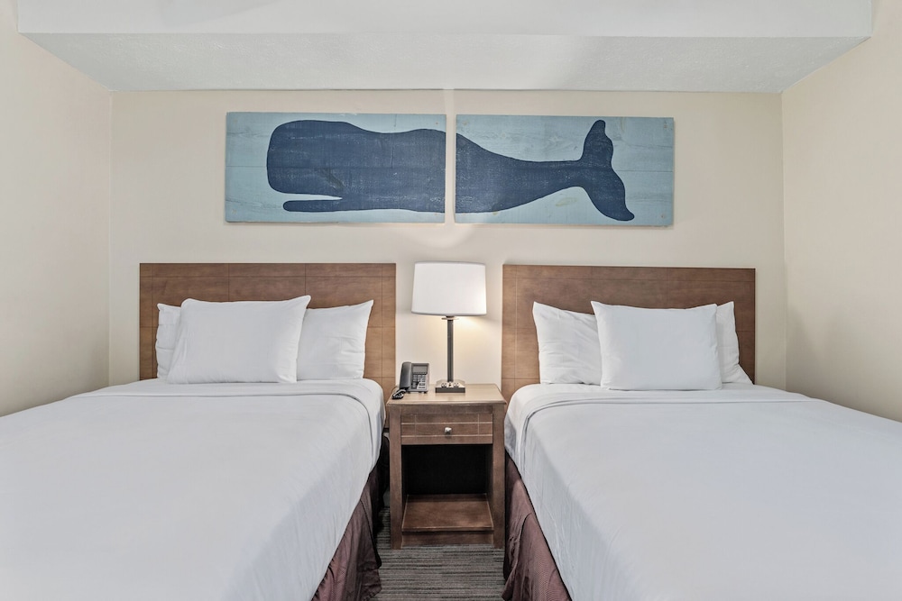 Sandpiper Beacon Beach Resort - photo 95