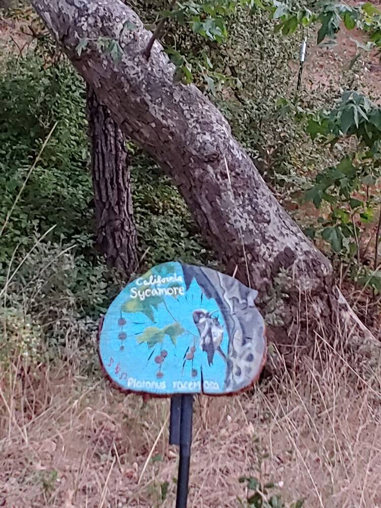 Bird Watcher Inn - photo 67