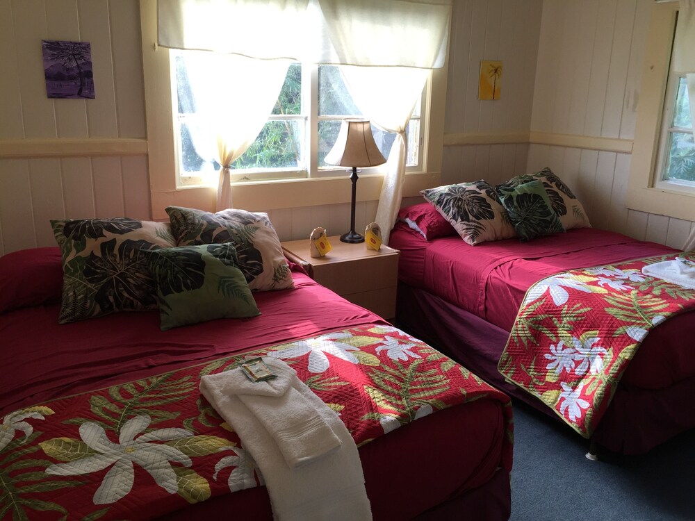 Wild Ginger Inn Hotel - photo 52