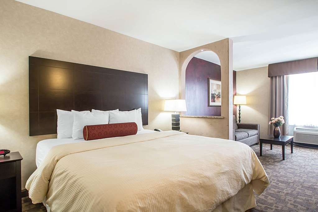 Clarion Inn Elmhurst Oak Brook near I 88 I 290 I 294 - photo 29