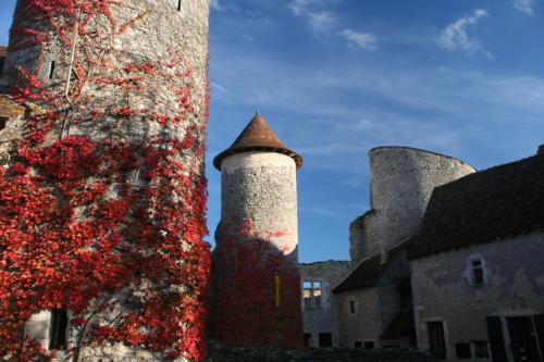 Chateau D'ingrandes - last minute hotel in Ingrandes