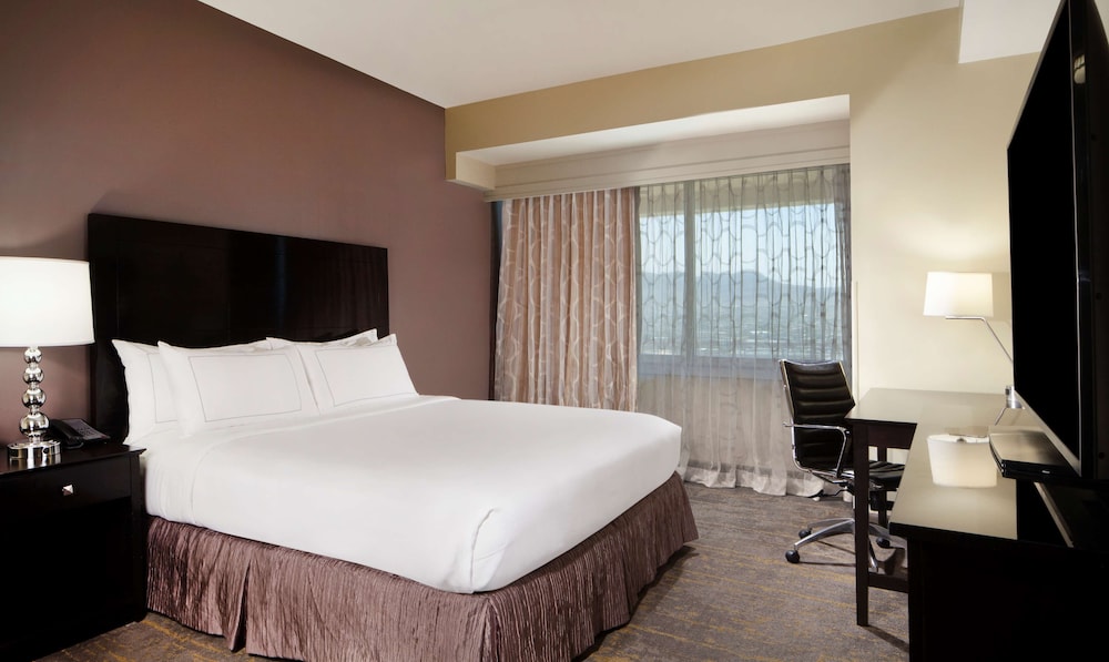 DoubleTree by Hilton El Paso Downtown - photo 12