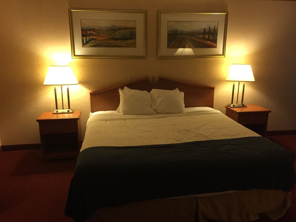 Texas Hill Country Hotel By Holiday Creek - photo 6