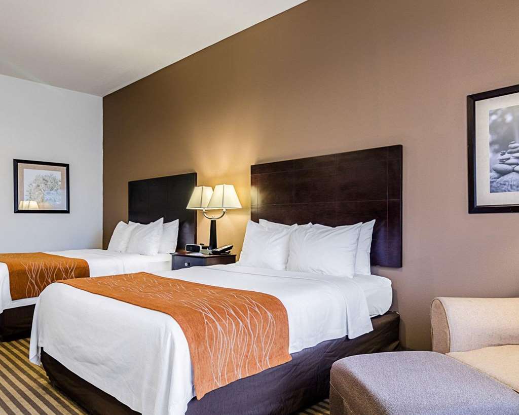 Comfort Inn & Suites Lawrence University Area - photo 13