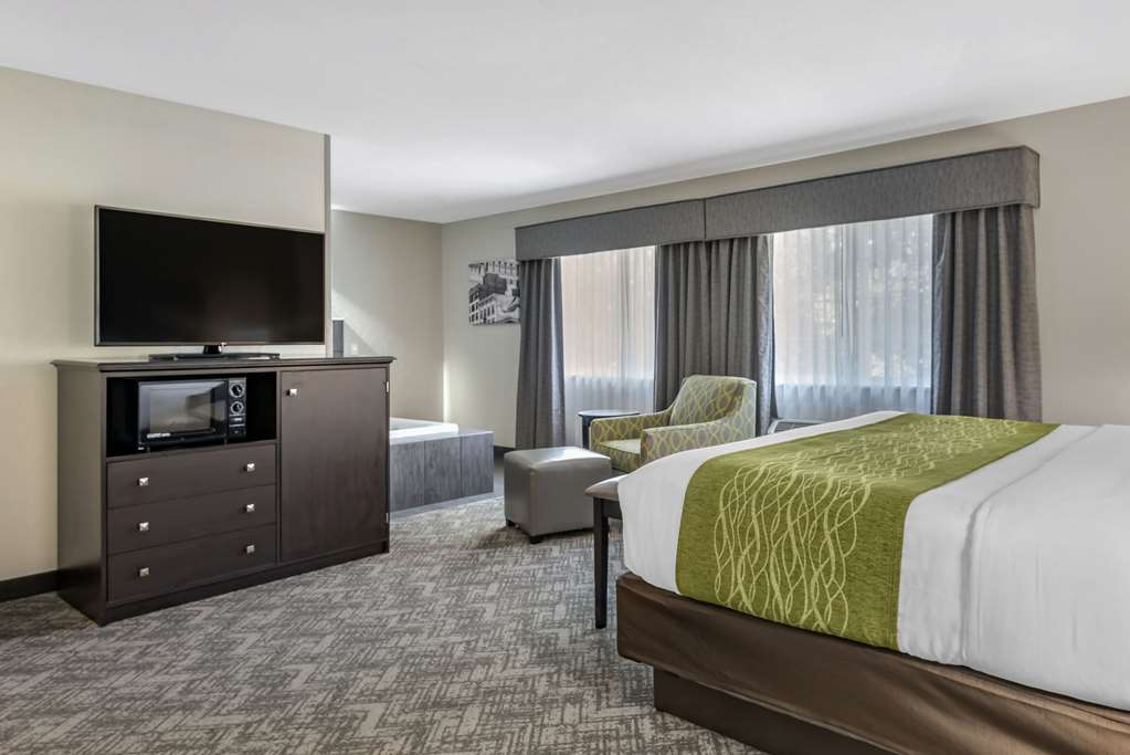 Comfort Inn & Suites Tualatin Lake Oswego South - photo 30