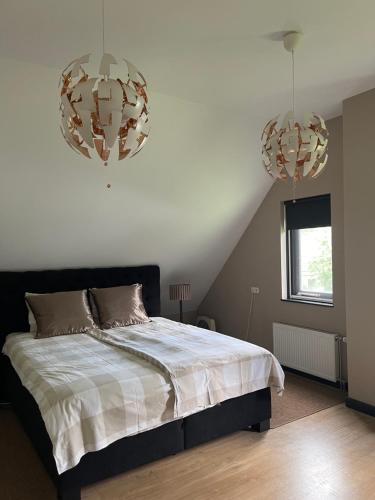 B&B PrinsHaerlyck — Made — photo 4